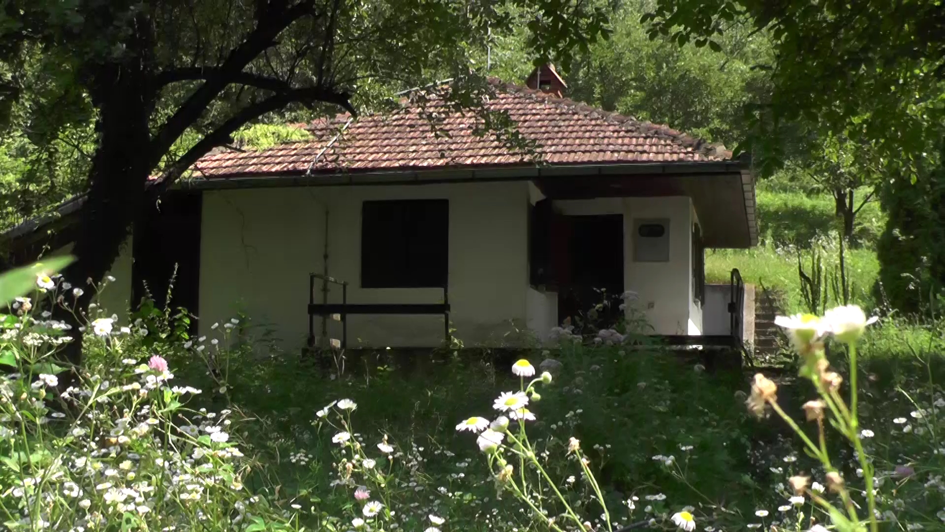 Petina, selo u kome se Milan Martić skrivao četiri godine: Sećanje na tihog komšiju