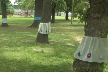 OBUCI DRVO: Kulturni centar Kruševac obeležio Evropski dan parkova