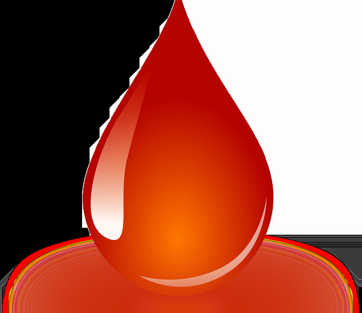 Organizacija Rezervnih vojnih starešina organizuje sutra u Velikoj sali Doma sindikata humanitarnu akciju dobrovoljnog davanja krvi