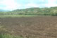 Suvo zemljište otežava pripreme za setvu kukruza