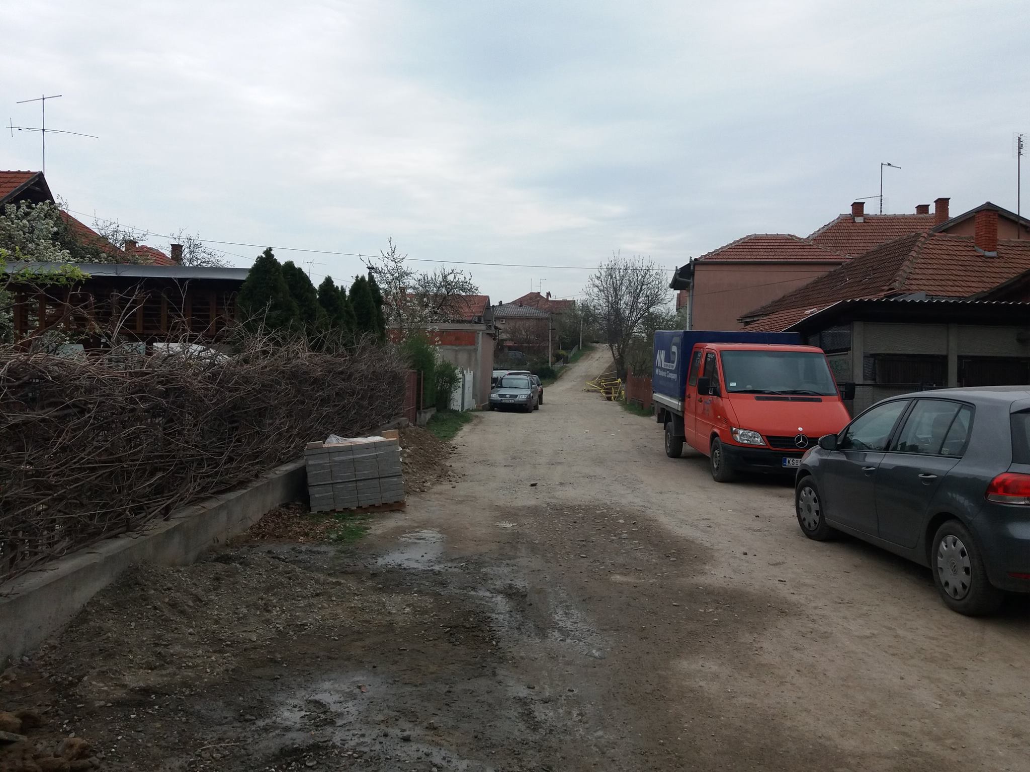lazar1