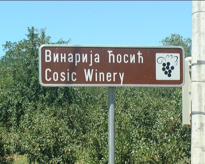 LJILJANA P - VINOGRADARI VITKOVO[(000019)02-13-35]